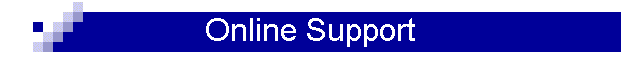 Online Support